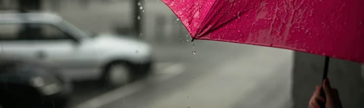 A person holding a pink umbrella under rain near a busy road.